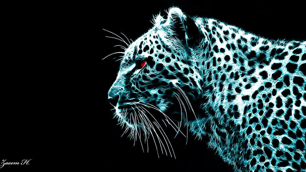 Neon Pictures Of Animals Retouched an old photo on my 1024x576